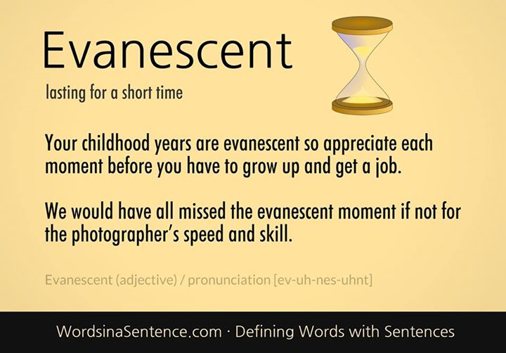 WORDS IN A SENTENCE