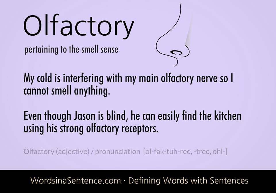 olfactory aura definition